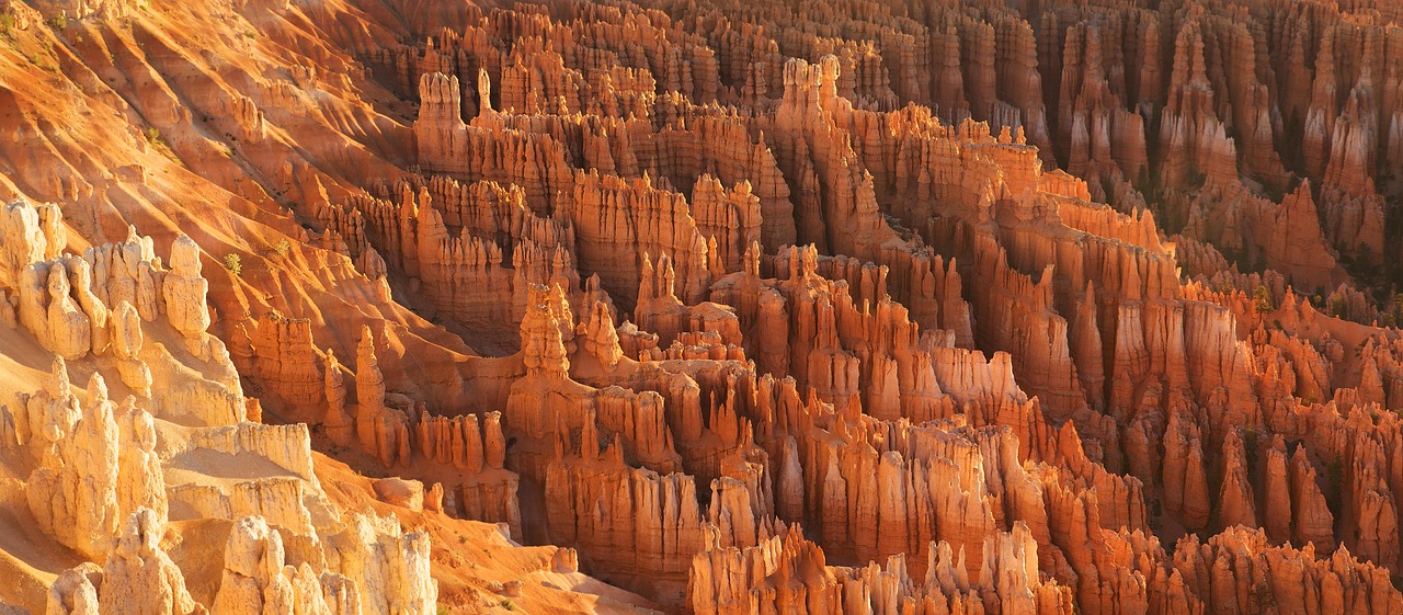 Exploring the Unique Rock Formations of Arches National Park